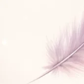 bandeau-site-programme-reconstruction-petitpaspoursoi